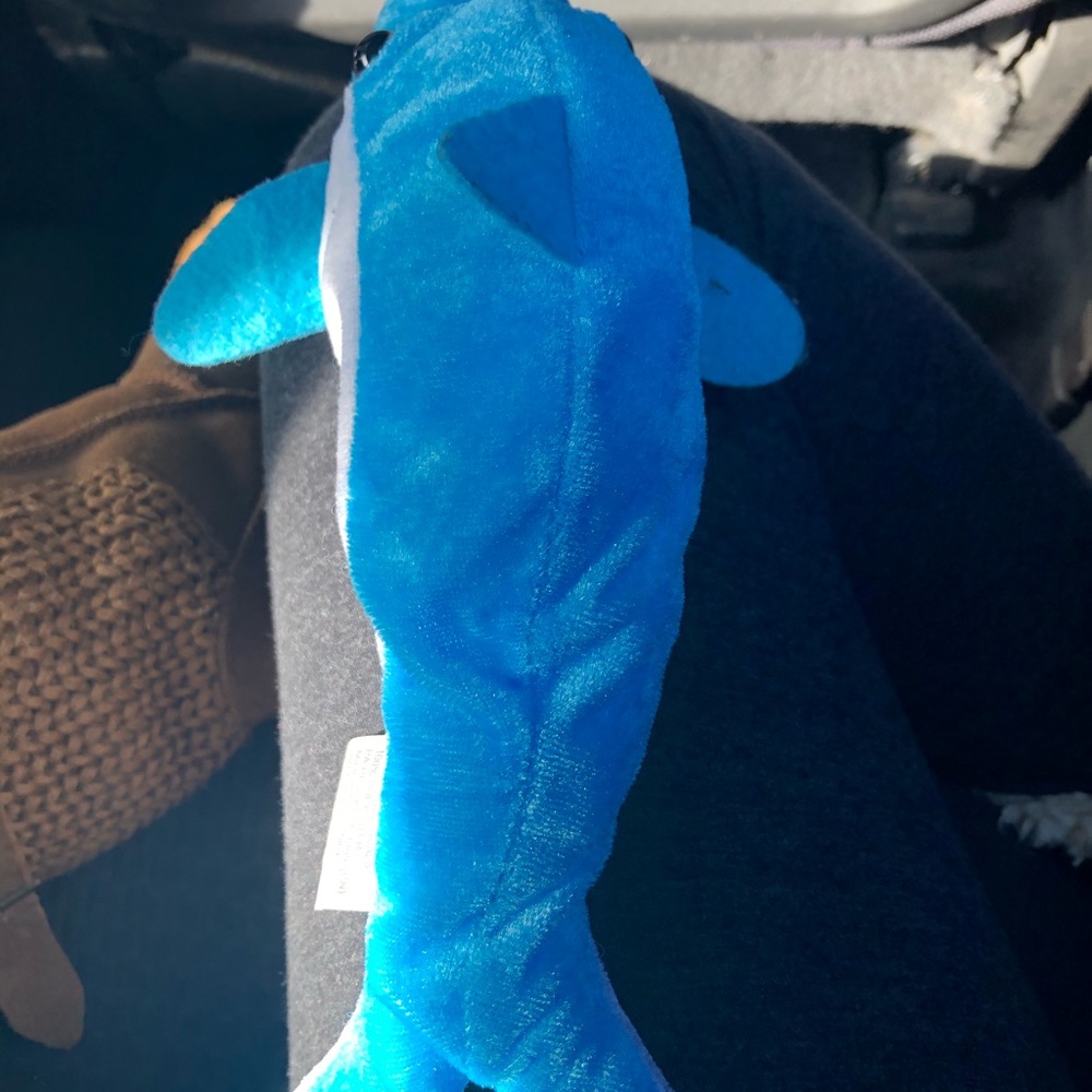 Shark! - Picture 3 of 5